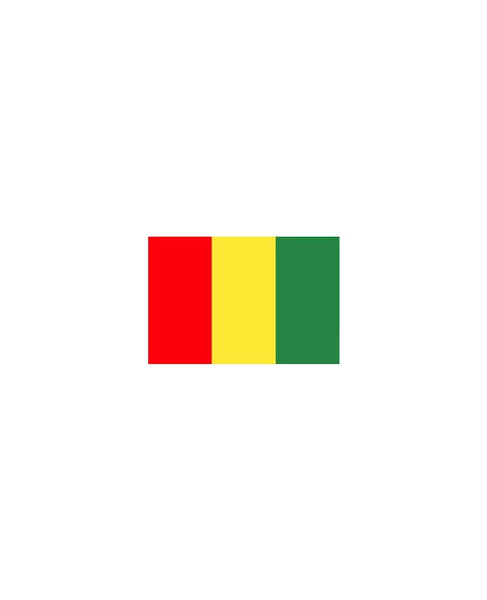 Drapeau Guinée - vente en ligne 
