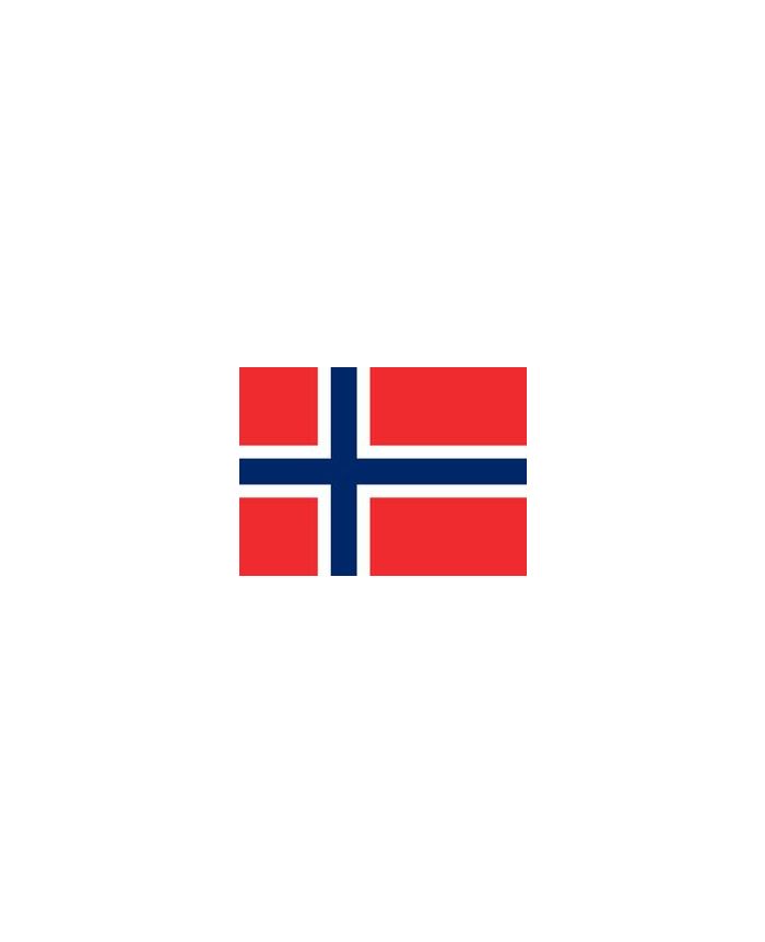 drapeau norvégien