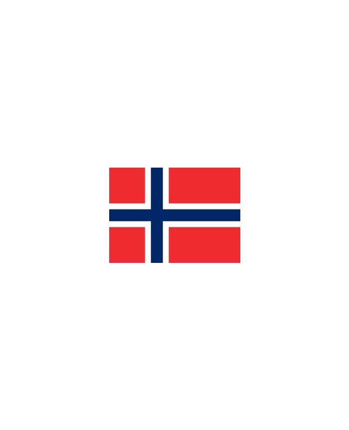 drapeau de la norvège