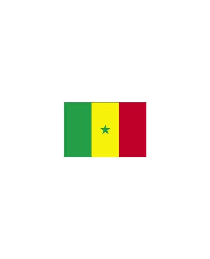 Drapeau Sénégal 100 x 150 cm - véritable drapeau Sénégalais en