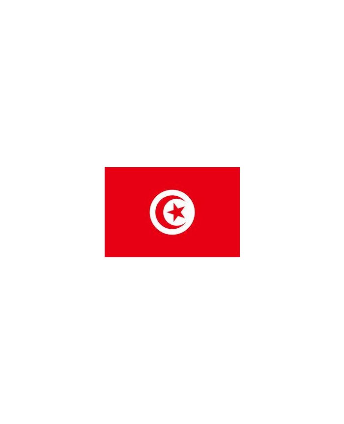Drapeau Tunisie 200 x 300 cm