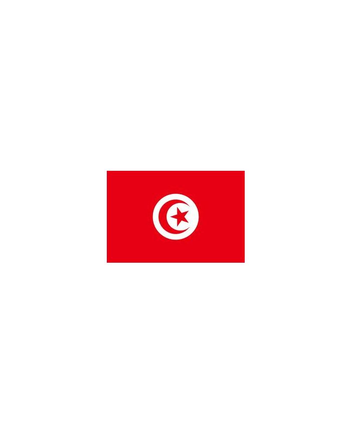 Illustration Du Modèle De Drapeau Tunisien | Vecteur Premium