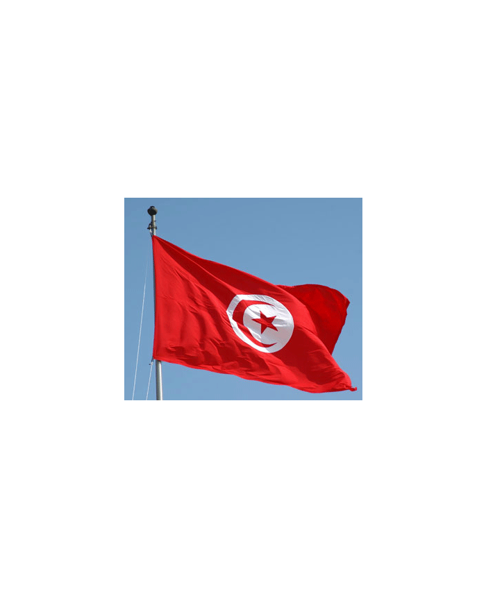 Drapeau Tunisie 200 x 300 cm - véritable drapeau Tunisien en tissu :  Promociel