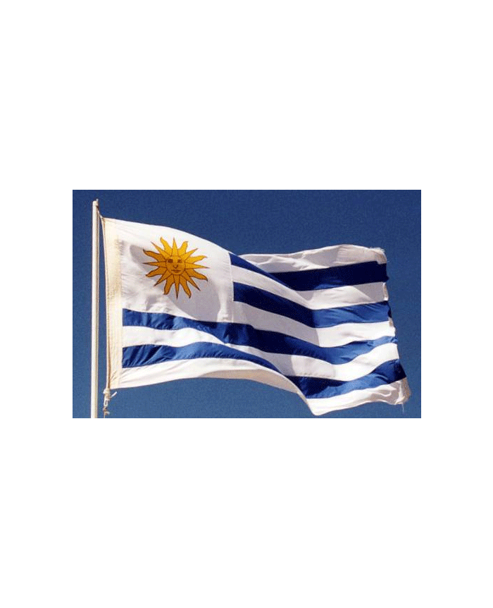 Drapeau de l'Uruguay ⚑ Histoire et vente du pavillon Uruguayen