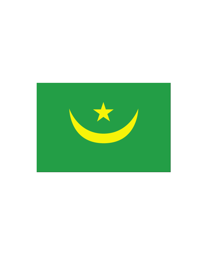 Drapeau Mauritanie 150 x 225 cm - véritable drapeau Mauritanien en tissu :  Promociel