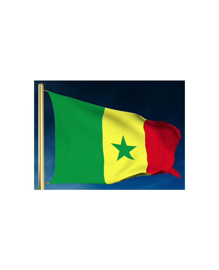 Drapeau Sénégal 150 x 225 cm - véritable drapeau Sénégalais en
