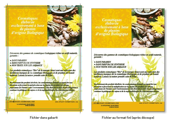 Flyers A5 recto seul conçus et imprimés en ligne chez Promociel