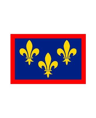 Drapeau Anjou 100 x 150cm