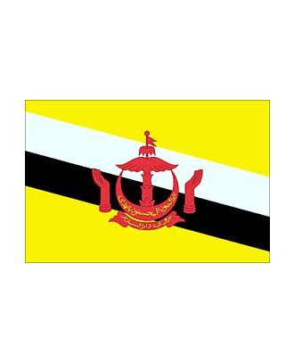 Drapeau Brunei 100 x 150 cm