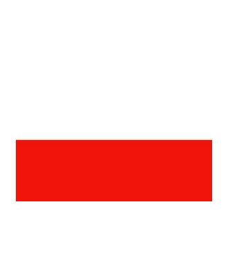 Drapeau Pologne