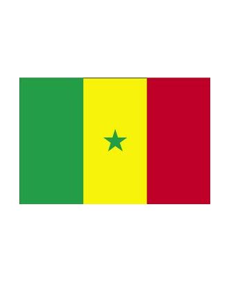 Drapeau Sénégal 200 x 300 cm - véritable drapeau Sénégalais en