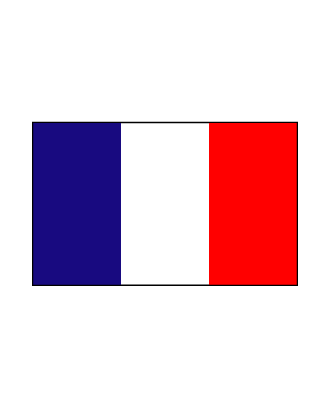 Drapeau adhésif France format 20 x 30 cm à l'unité
