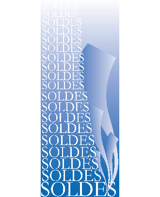 soldes miroir 150 x 60 cm vertical